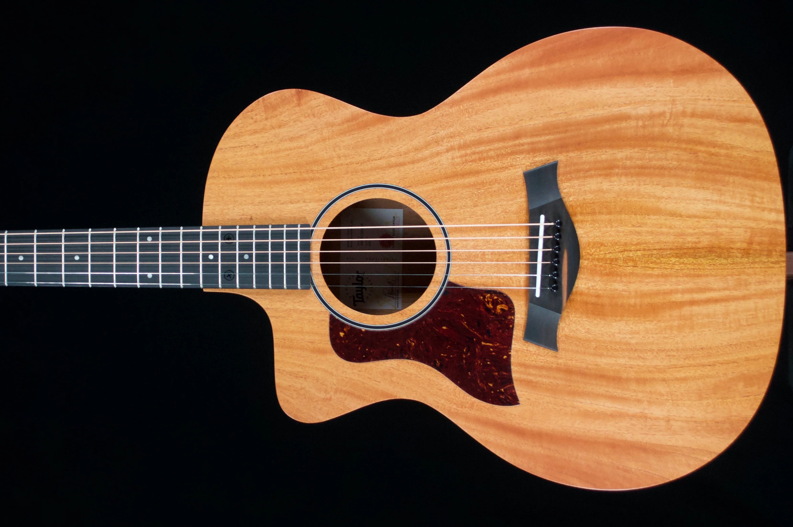 ✅ Taylor 24ce. Left-Handed