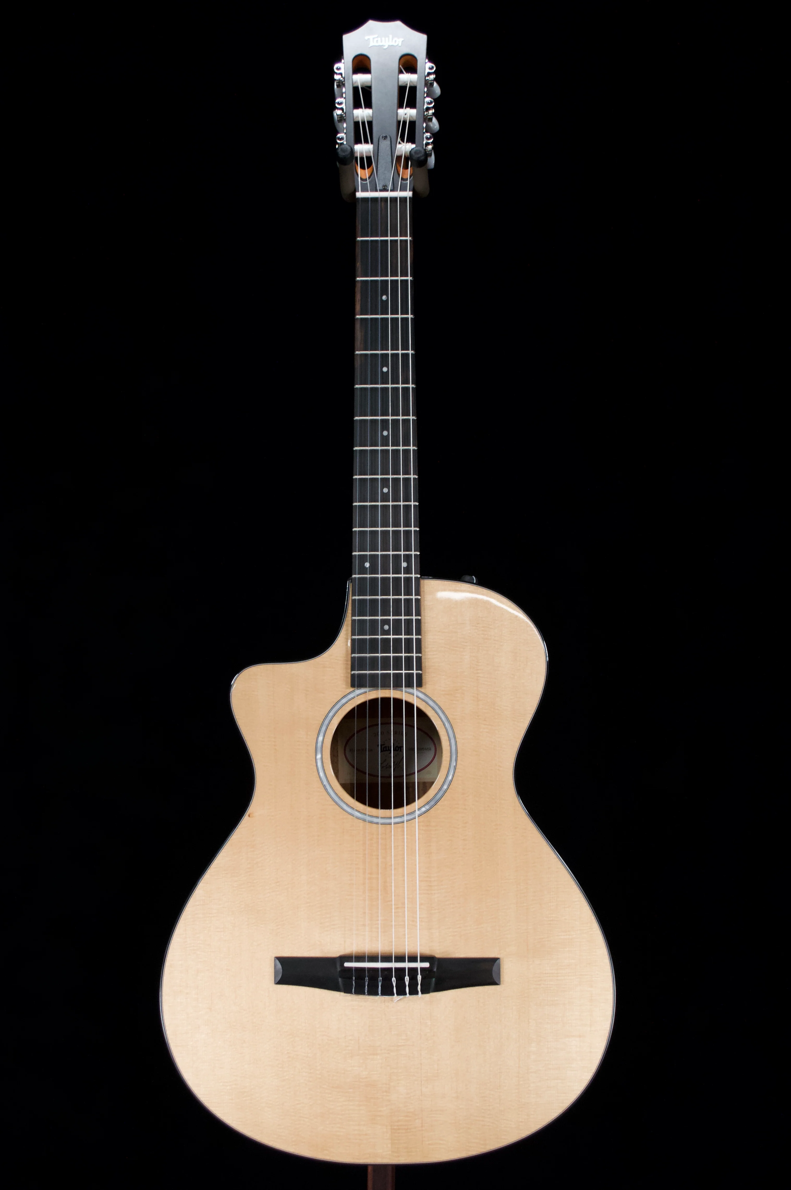✅ Taylor 212ce Plus Nylon Glossy Classical Left Handed with Aero case - Image 2