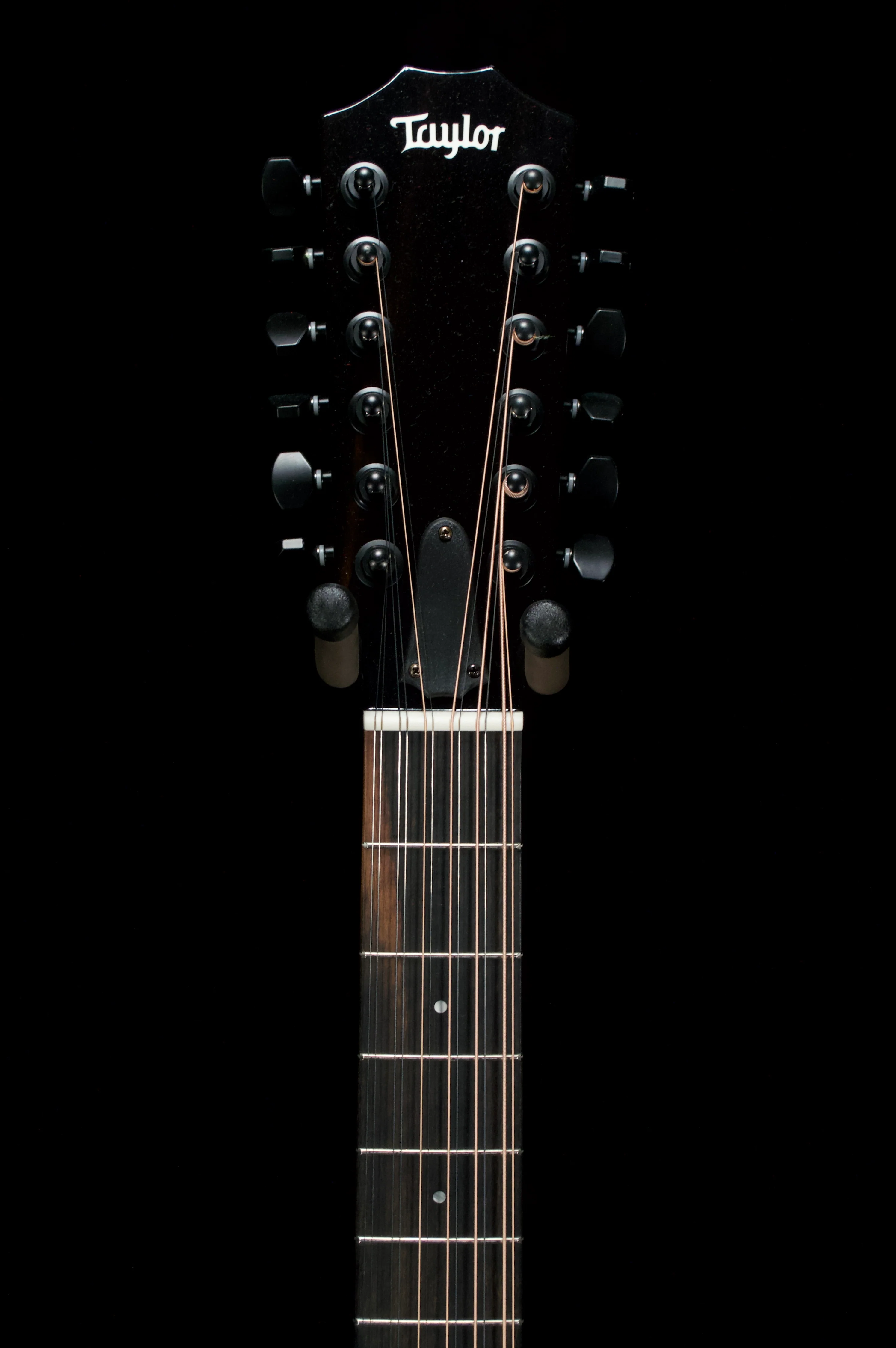 ✅ Taylor 250ce Plus Left Handed 12 String Dreadnought - Image 4