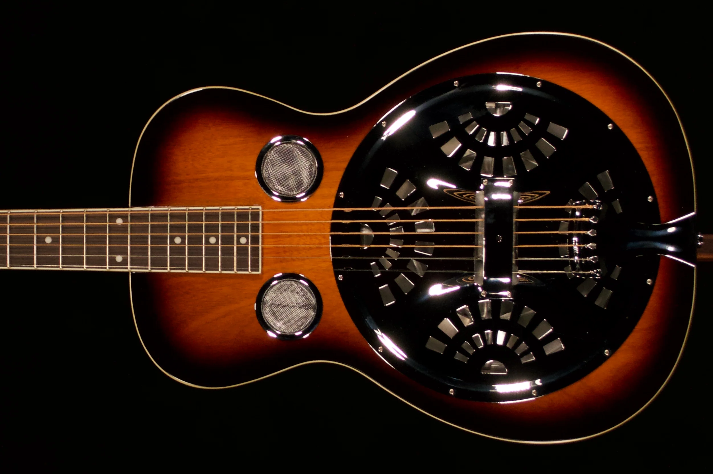 ✅ Gold Tone Beard Resophonic Left-Handed Guitar
