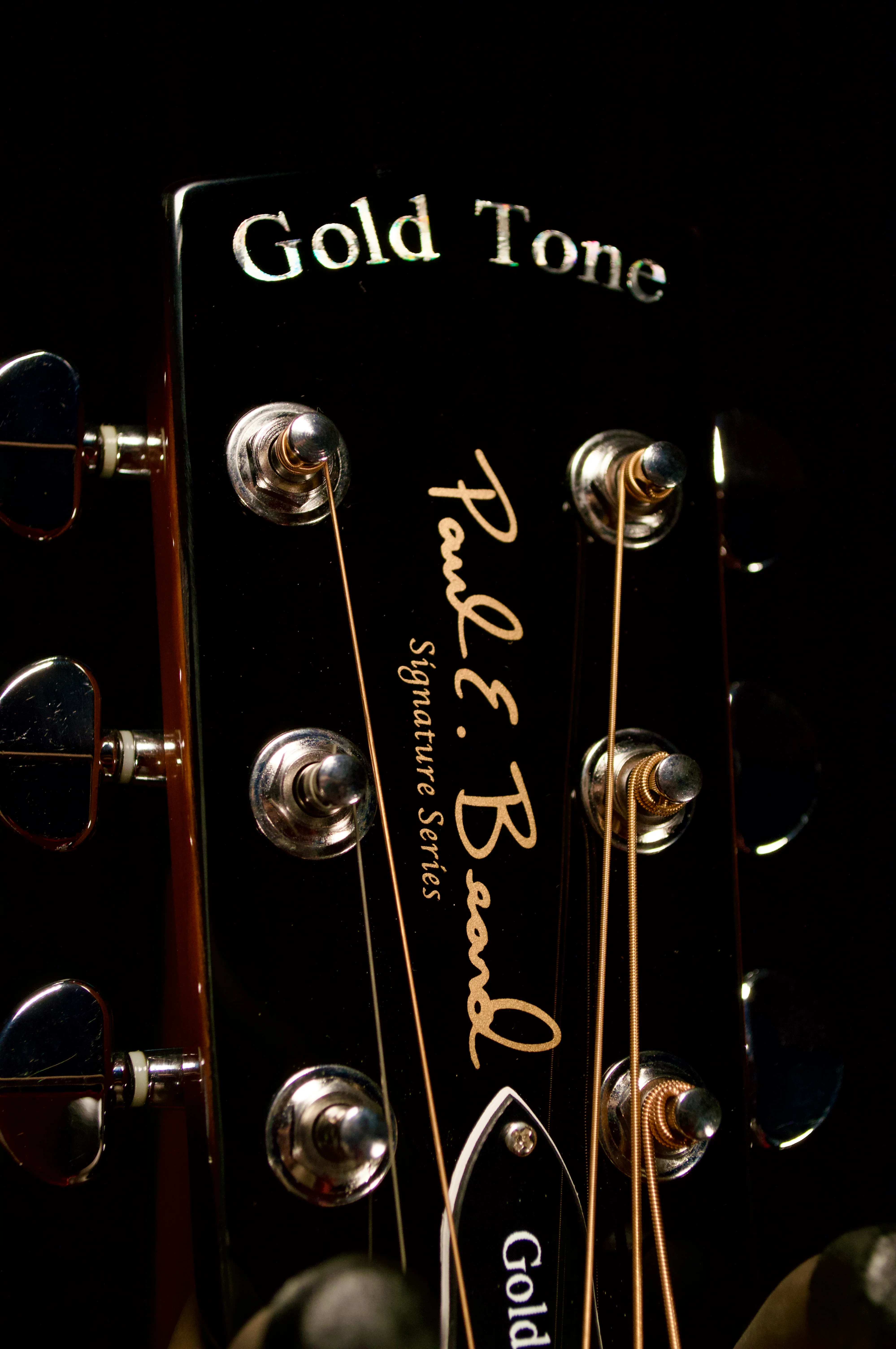 ✅ Gold Tone Beard Resophonic Left-Handed Guitar - Image 4