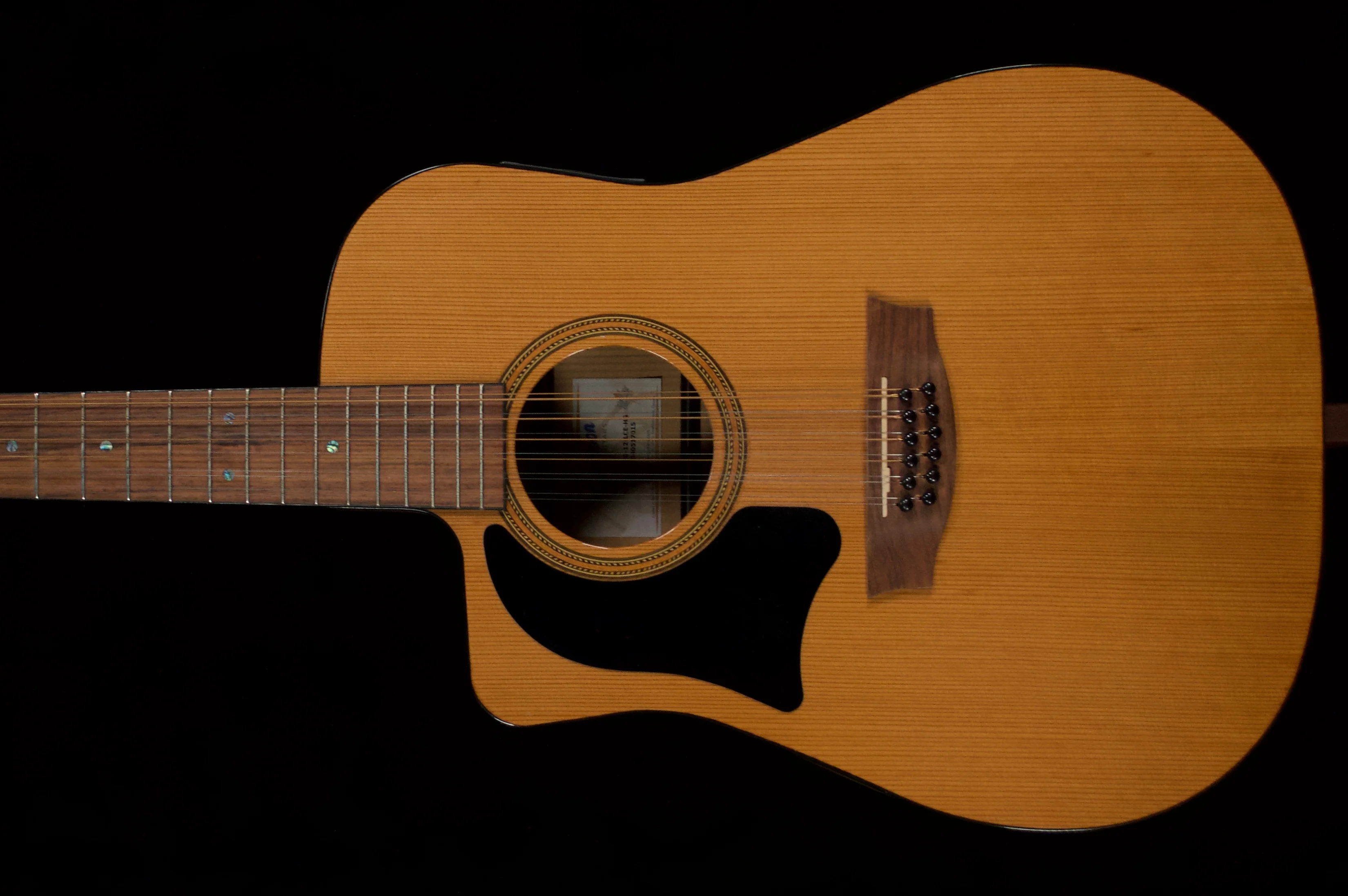 ✅ Garrison G20 12 LCR HG Left-handed Acoustic Guitar