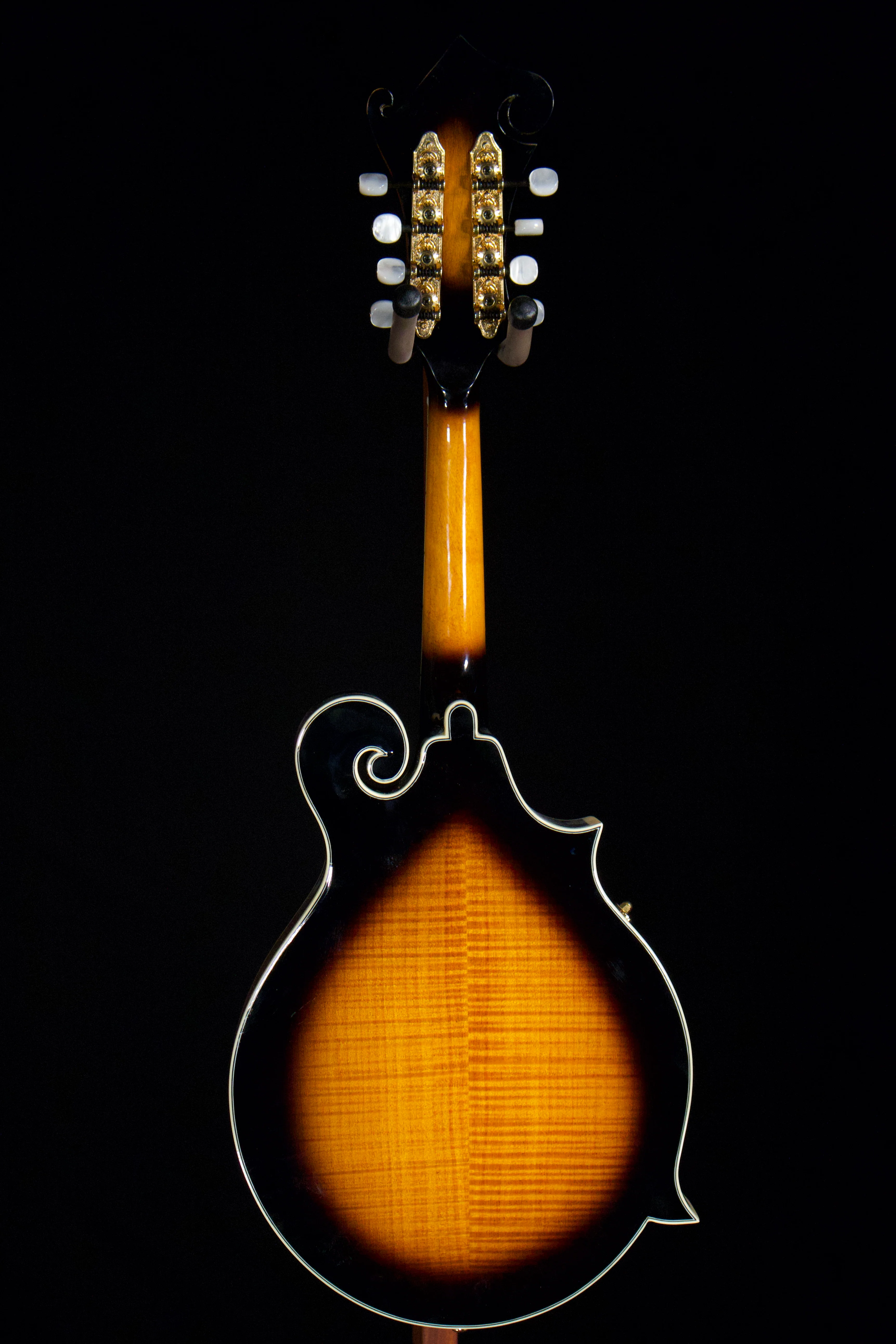 Goldtone F Style Mandolin. Left -Handed. - Image 4