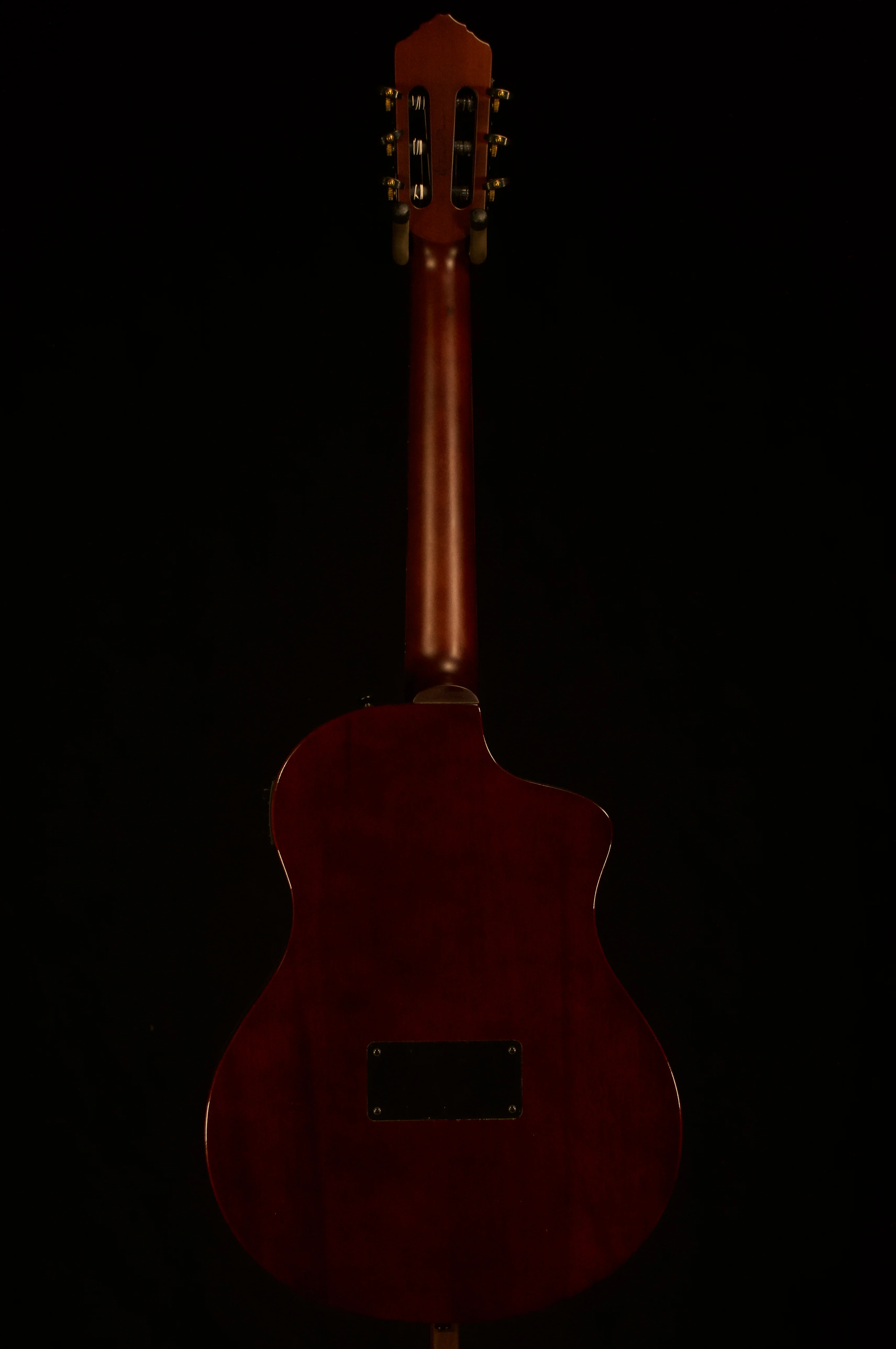 ✅ Ortega Lefty Thinline Classical - Image 3